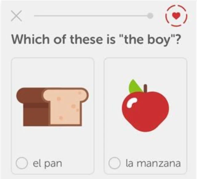 Duolingo exercise: tap the picture that matches the word